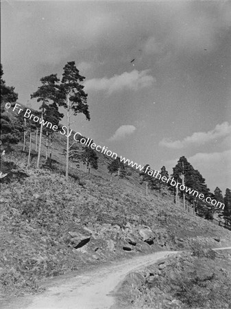 PANORAMA WITH FARMERS